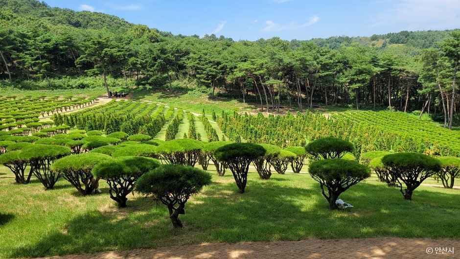 경기_안산_쌍계사(안산) (14)