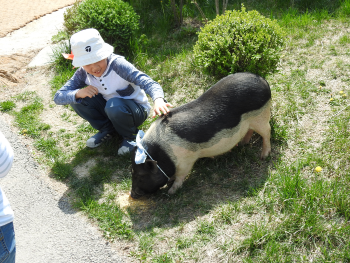 아침고요가족동물원_가평_1