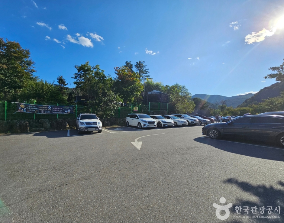 아침고요가족동물원_8