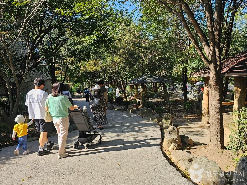 아침고요가족동물원_9