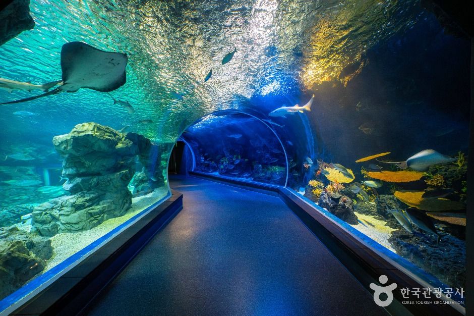 수원_아쿠아플라넷 광교 (3)