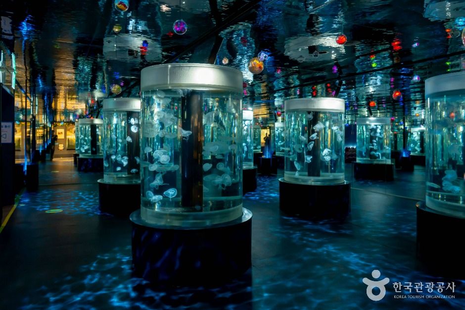 수원_아쿠아플라넷 광교 (5)