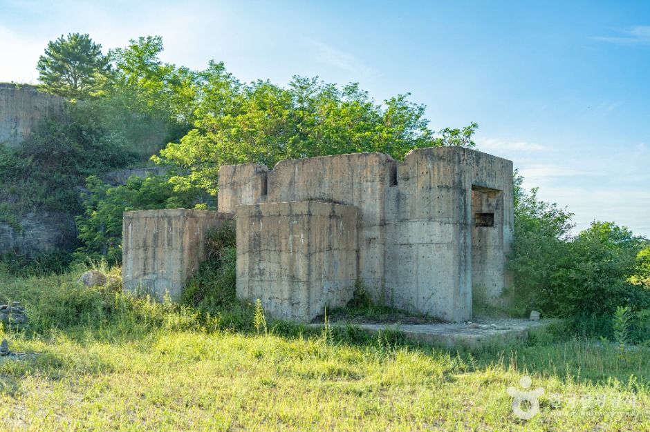 안산_안산대부광산퇴적암층 (3)