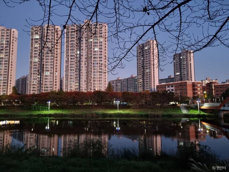 안산_안산호수공원_3