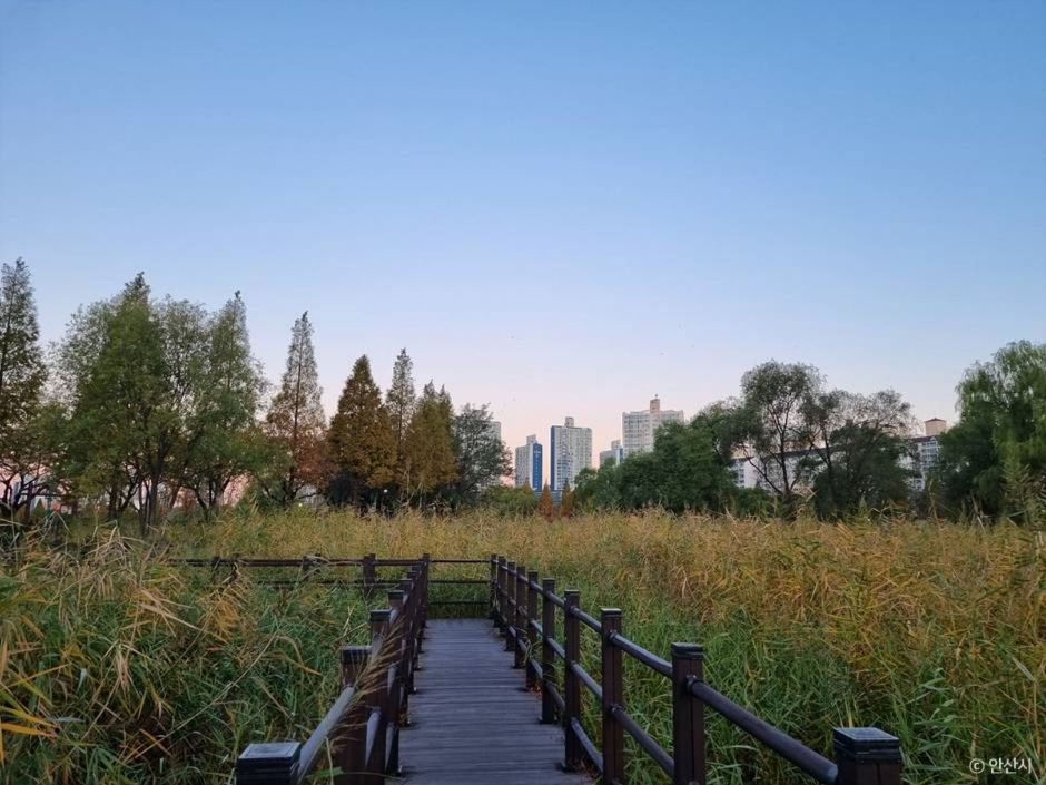 안산_안산호수공원_9