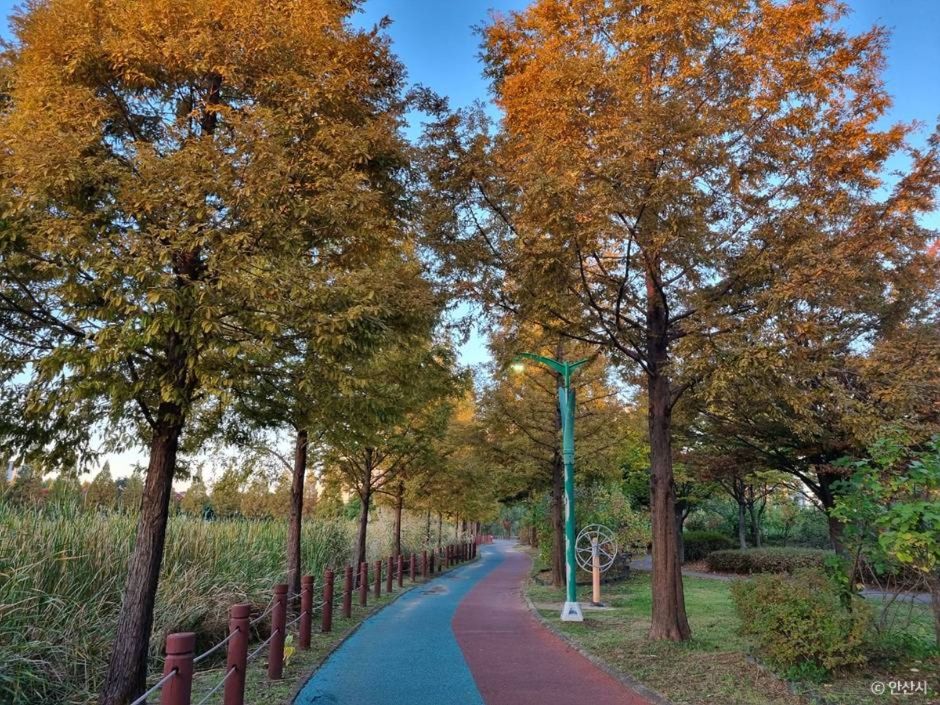 안산_안산호수공원_13