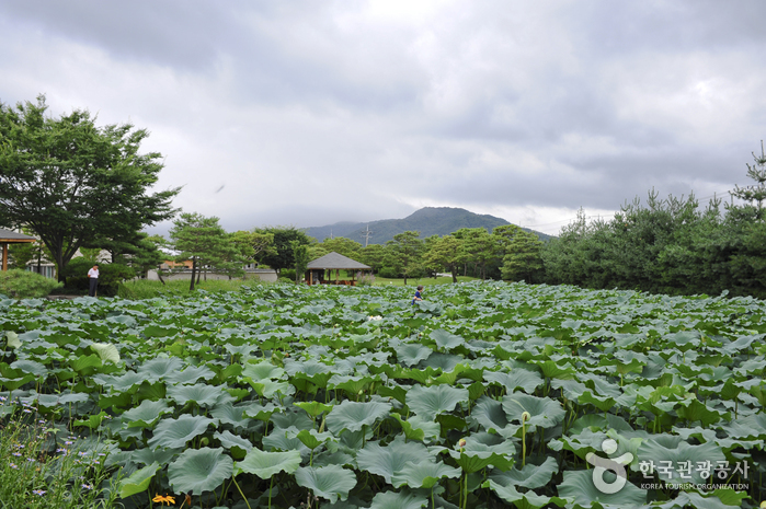 서일농원(전통된장)