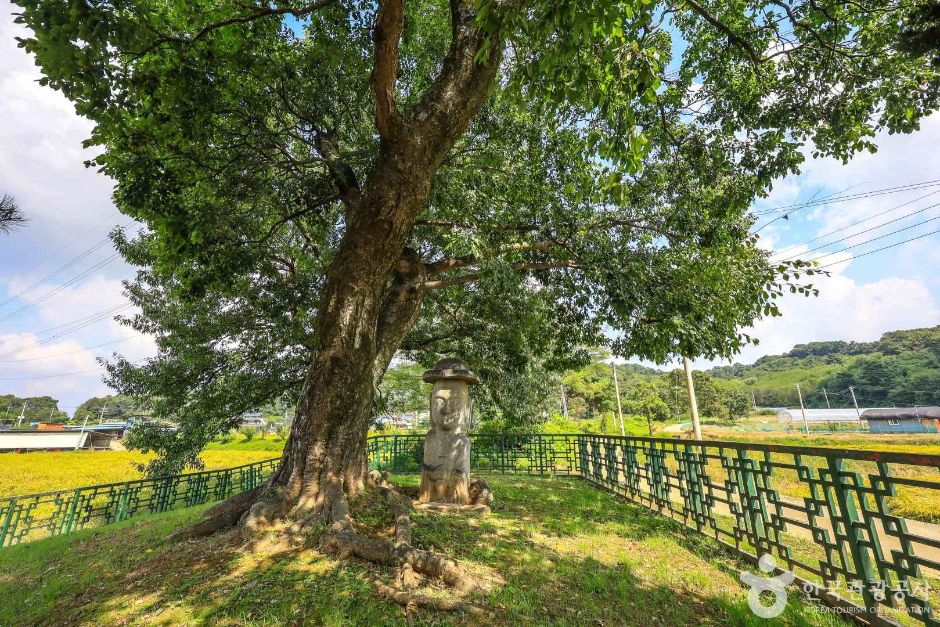 경기_안성_안성대농리석불입상 (2)