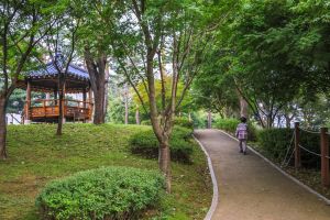 솔밭공원(안성)