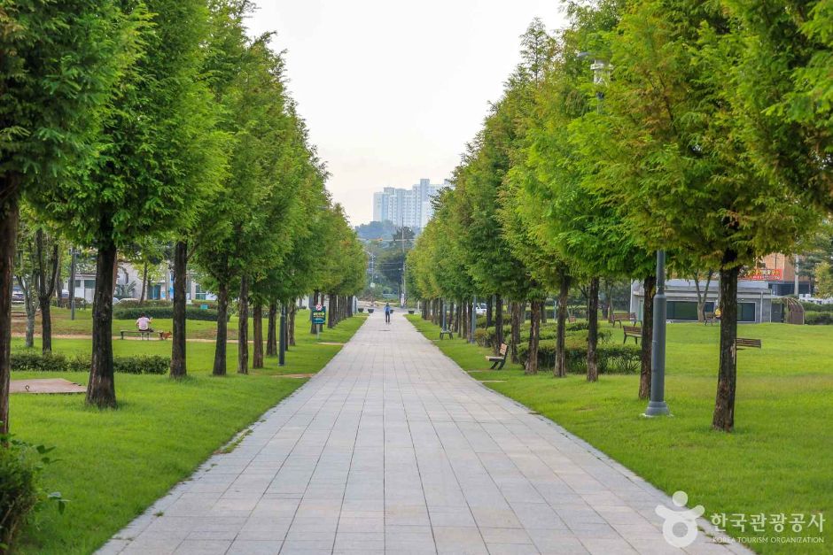 경기_안성_안성맞춤가족공원 (2)