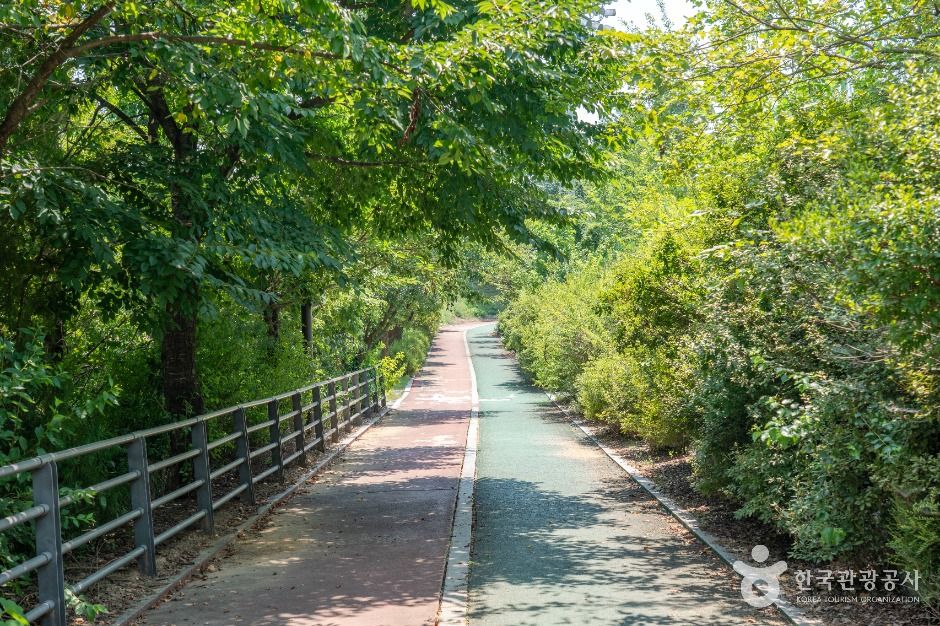 평택_안중레포츠공원 (2)
