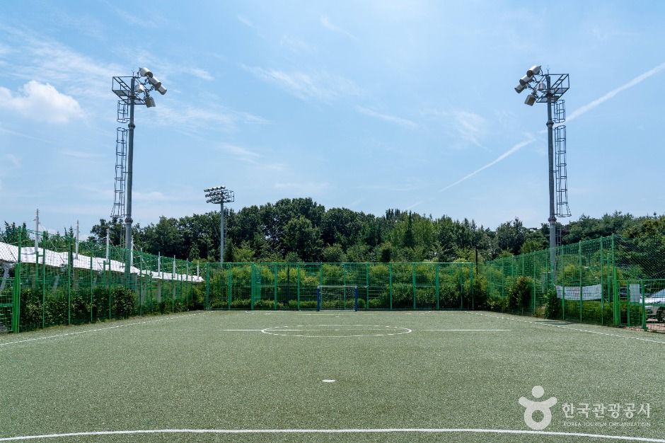 평택_안중레포츠공원 (5)