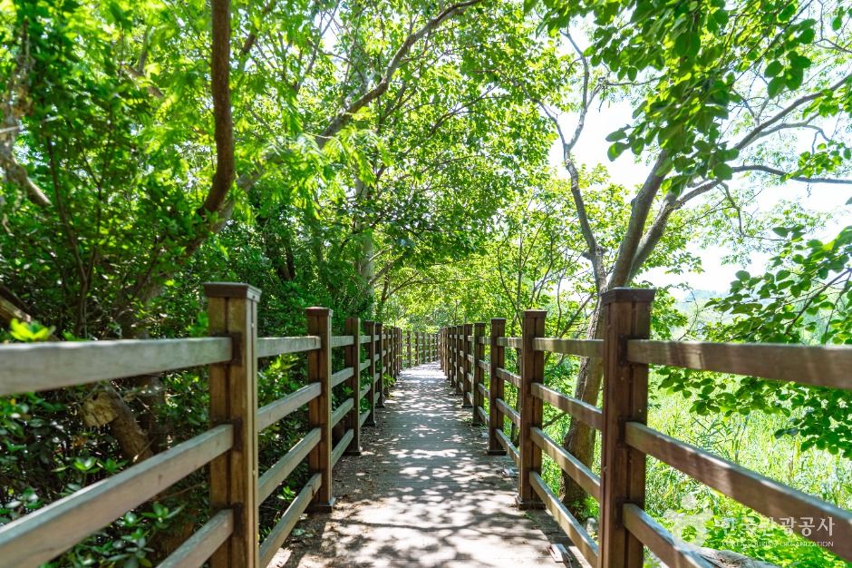 광명_안터생태공원 (5)