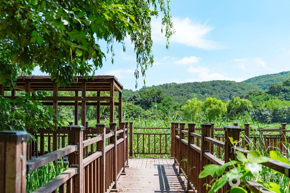 광명_안터생태공원 (1)