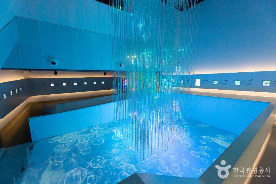 김포_애기봉평화생태공원 (2)