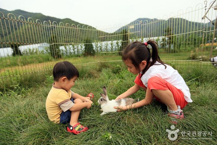 경기_연천_애심목장03