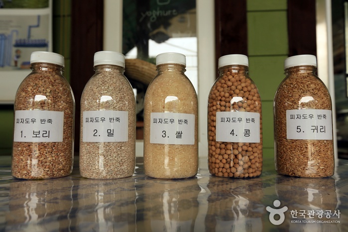 경기_연천_애심목장08