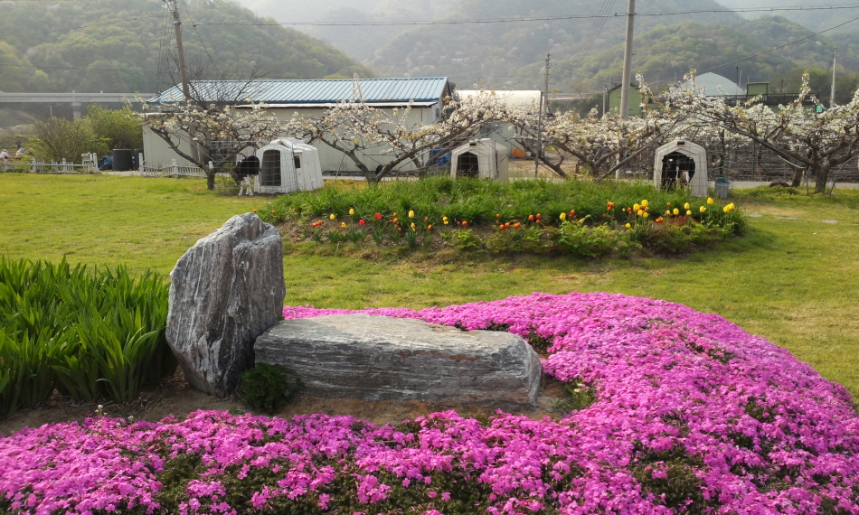 한국농어촌공사_웰촌_8월코스_경기_연천_시원한 폭포와 함께하는 연천 여행04