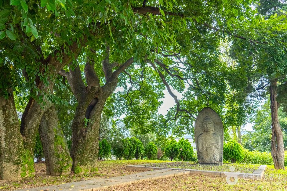 안성_양성 석조여래입상 (1)