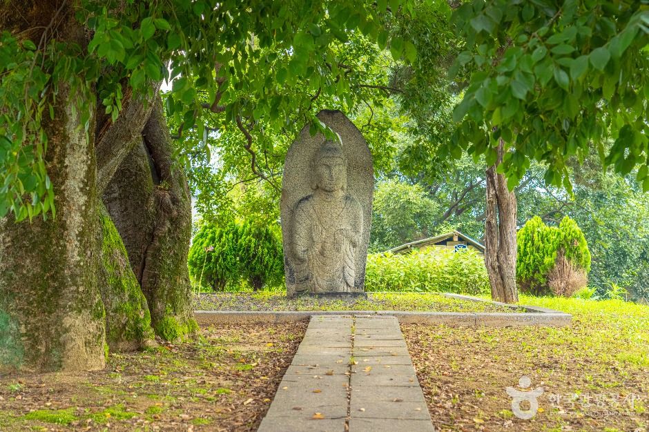 안성_양성 석조여래입상 (3)