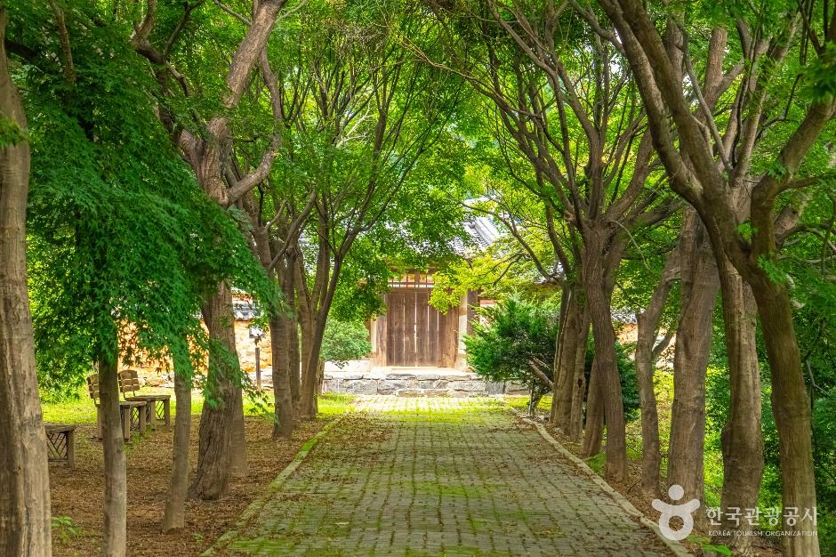 안성_양성향교 (3)