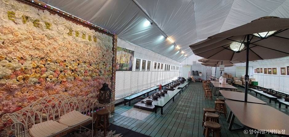 양평_양수리딸기체험농장 (2)