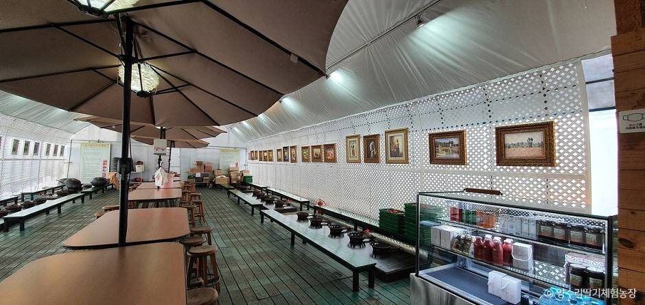 양평_양수리딸기체험농장 (3)