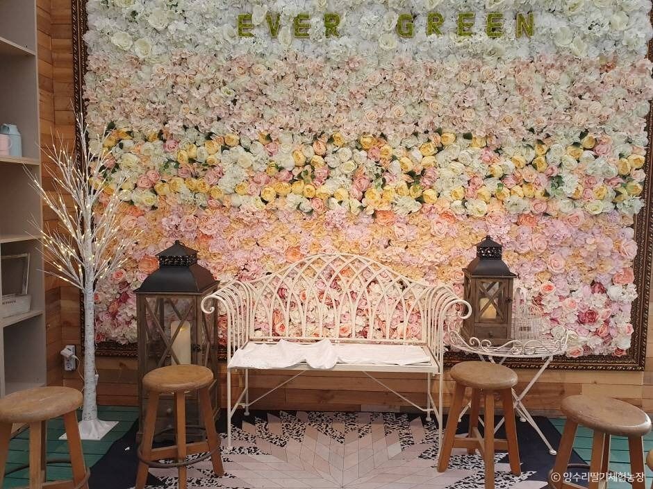 양평_양수리딸기체험농장 (6)