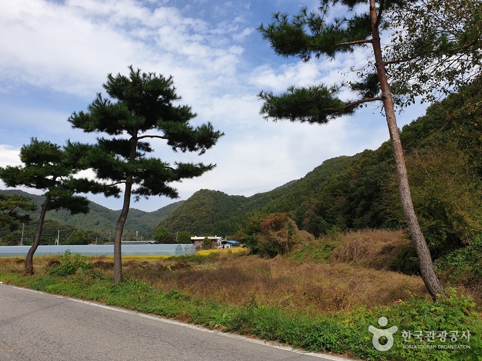 관광지_경기_양평_마들가리마을_3