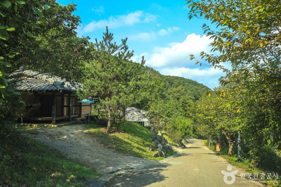 경기_양평_맑은숲캠프 (3)