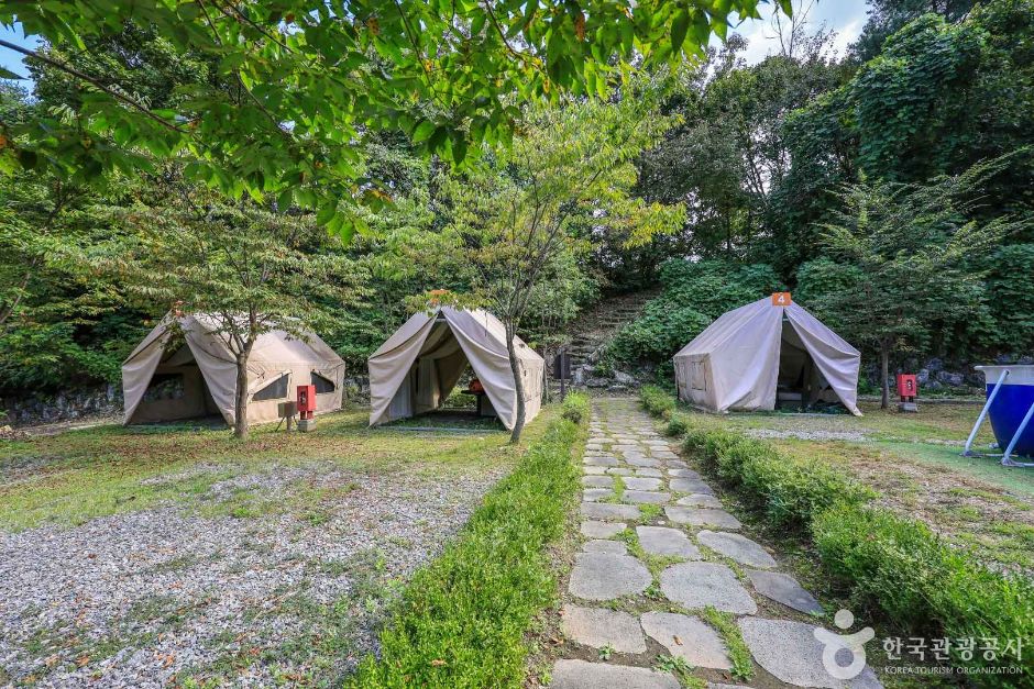 경기_양평_맑은숲캠프 (7)