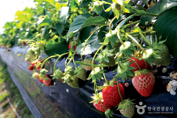 보릿고개마을_07