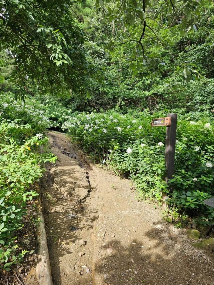 쉬자파크_전경6