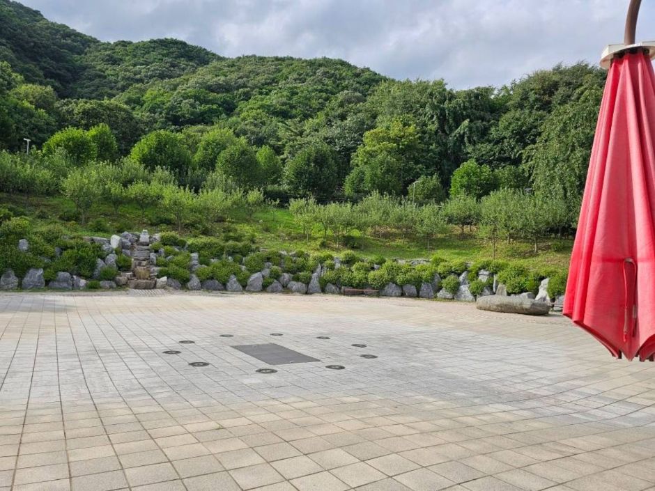 쉬파파크_발목풀장