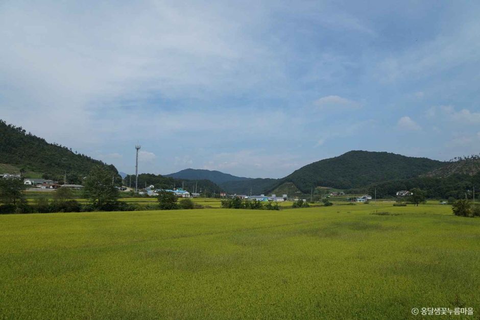 양평 옹달샘꽃누름마을 (4)