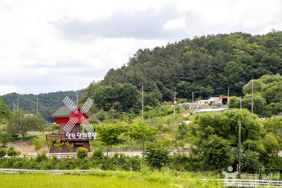 양평 양떼목장 (2)