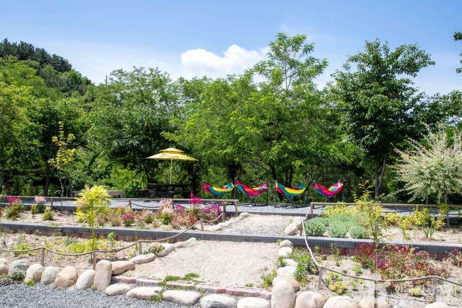 양평 양떼목장 (7)