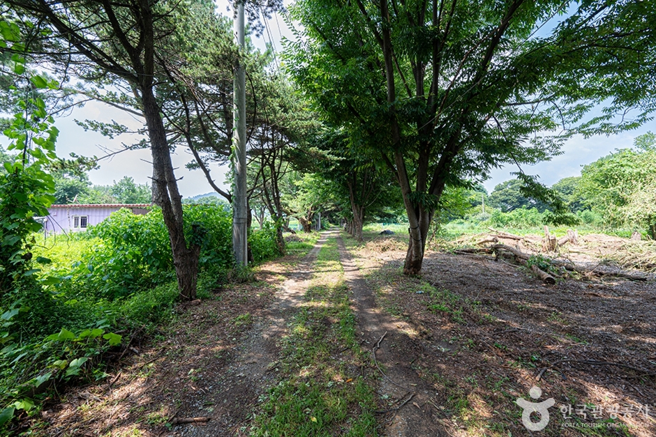 어린이농장학농원 (2)