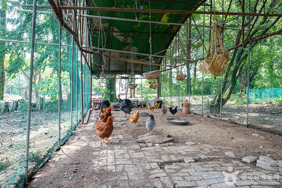 어린이농장학농원 (10)