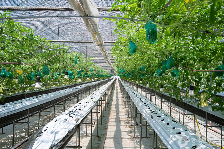 에덴농장 (6)
