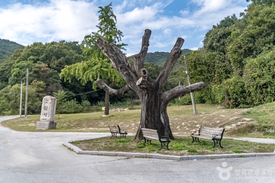 여주 고달사지 (2)