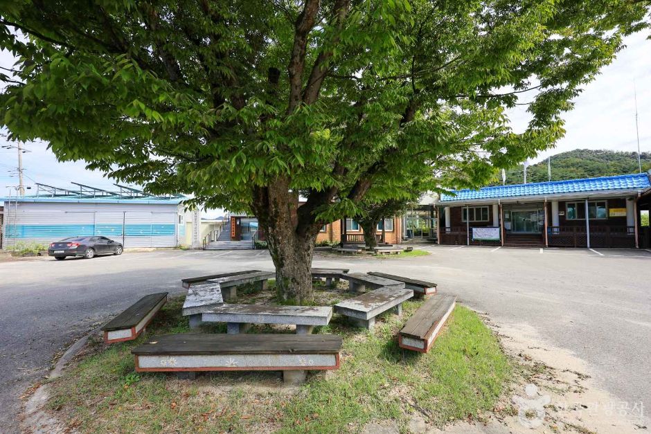 경기_여주_여주 늘향골마을 (3)