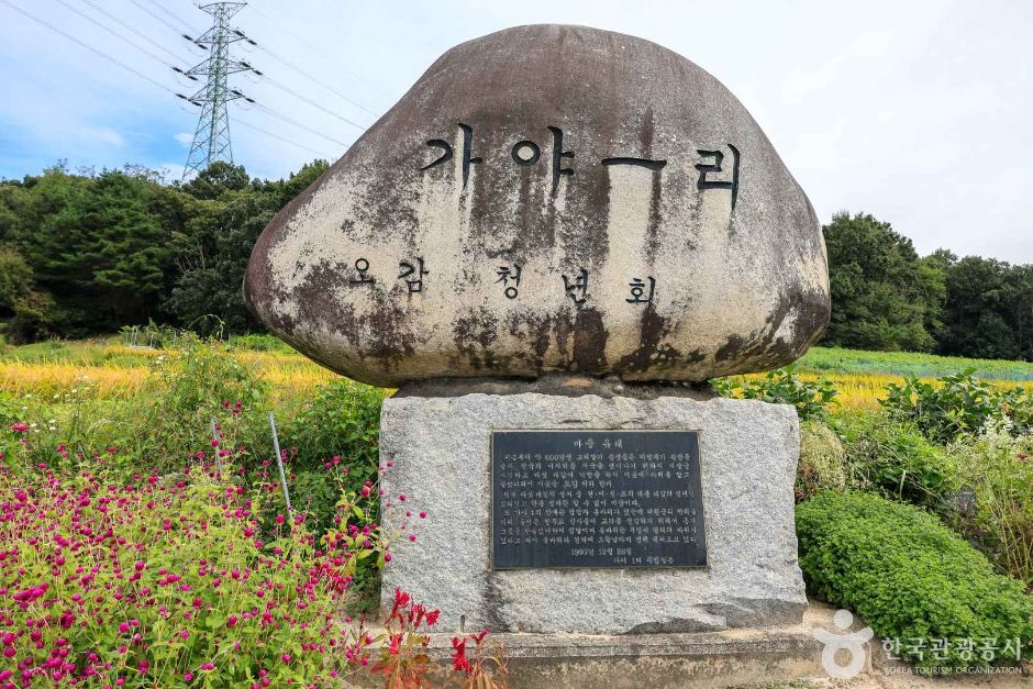 경기_여주_여주 오감도토리마을 (3)