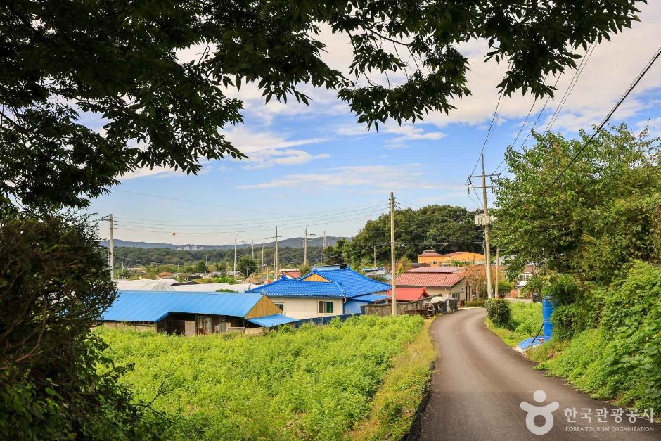 경기_여주_여주 오감도토리마을 (4)