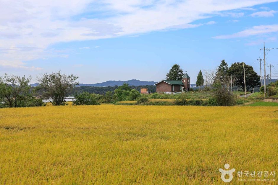 경기_여주_여주 오감도토리마을 (7)