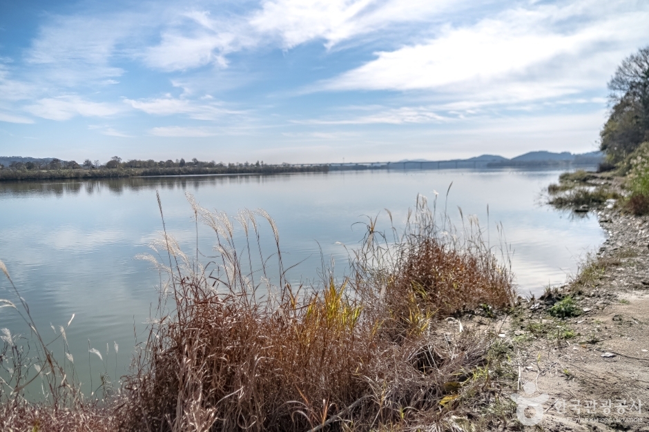 여주 이포나루 (18)