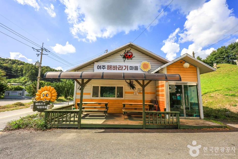 경기_여주_여주 해바라기마을 (3)