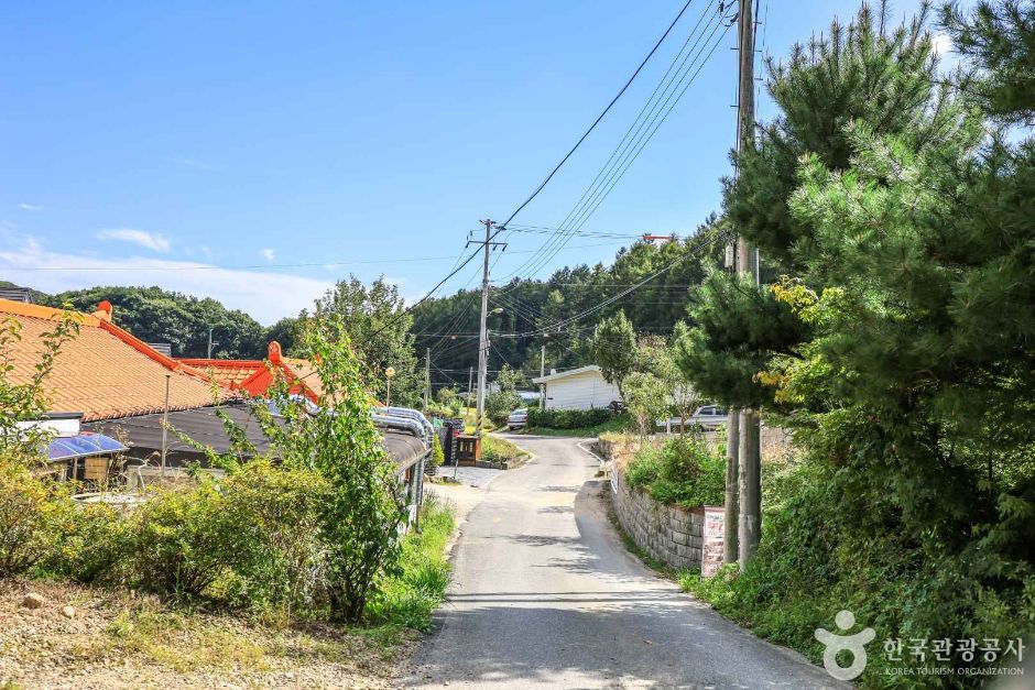 경기_여주_여주 해바라기마을 (4)