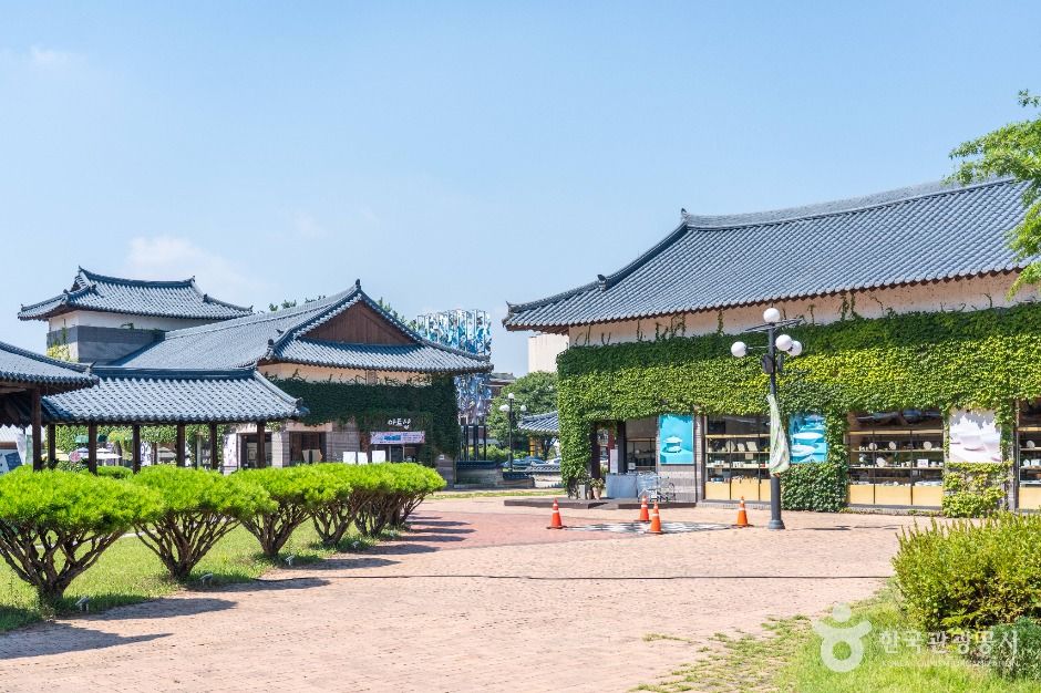 여주_여주도자세상 (3)