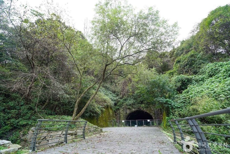 경기_연천_역고드름 (2)